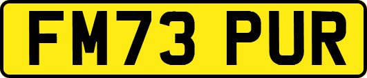 FM73PUR