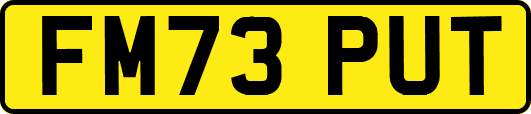 FM73PUT