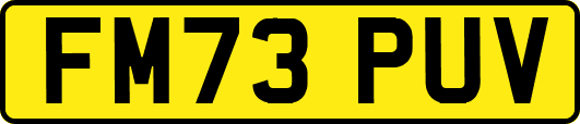 FM73PUV