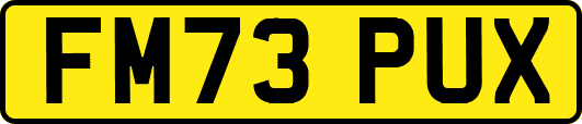 FM73PUX