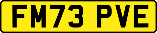 FM73PVE