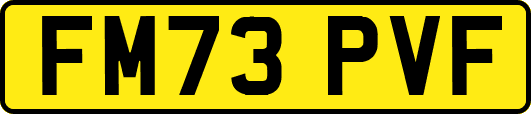FM73PVF
