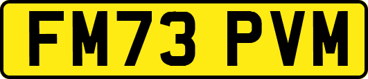 FM73PVM