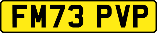FM73PVP