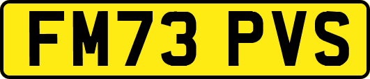 FM73PVS