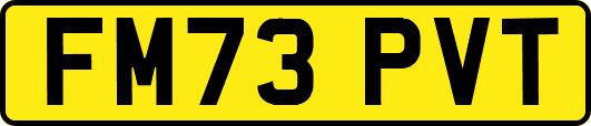 FM73PVT