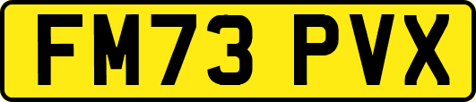 FM73PVX