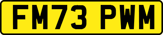 FM73PWM