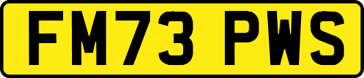 FM73PWS