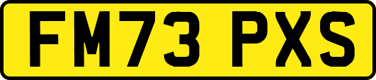 FM73PXS
