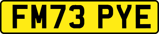 FM73PYE