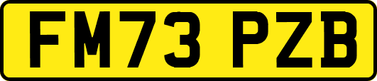 FM73PZB