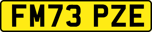 FM73PZE
