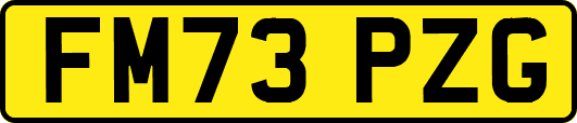 FM73PZG