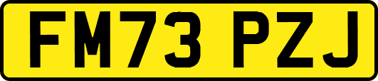 FM73PZJ