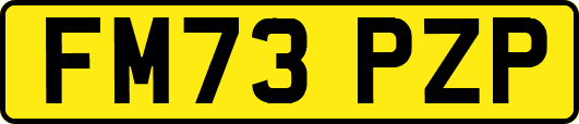 FM73PZP