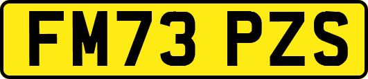 FM73PZS