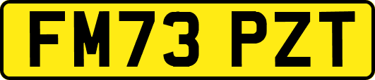 FM73PZT