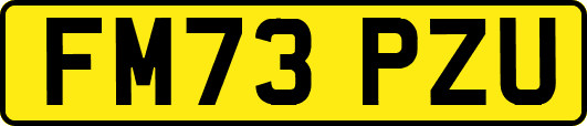 FM73PZU