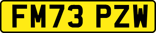 FM73PZW