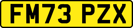 FM73PZX