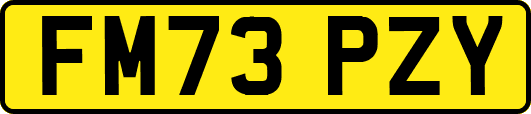 FM73PZY