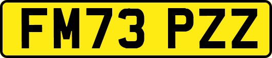 FM73PZZ