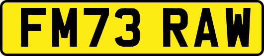 FM73RAW