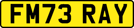FM73RAY
