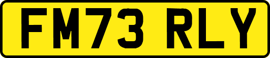FM73RLY