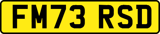 FM73RSD