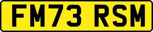 FM73RSM