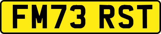 FM73RST
