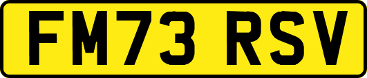 FM73RSV