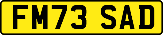 FM73SAD
