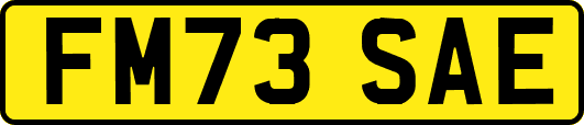 FM73SAE
