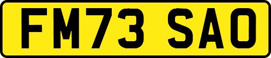 FM73SAO