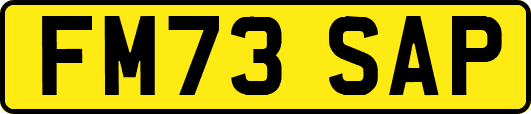 FM73SAP