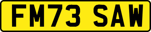 FM73SAW