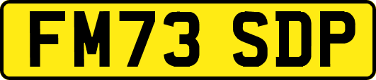 FM73SDP
