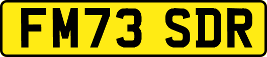FM73SDR