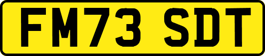FM73SDT