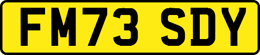 FM73SDY