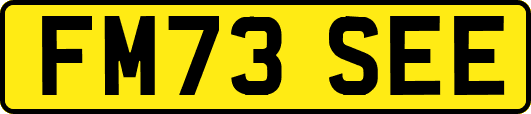 FM73SEE