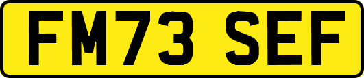 FM73SEF