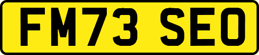 FM73SEO
