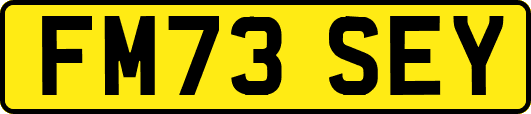 FM73SEY
