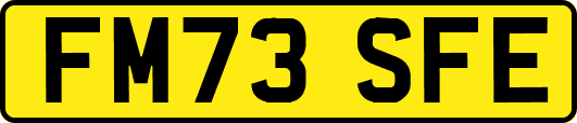 FM73SFE