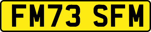 FM73SFM