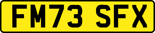 FM73SFX